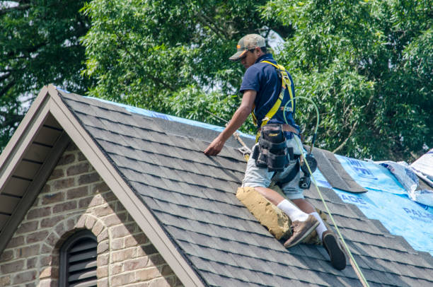 Best Gutter Installation and Roofing  in Springdale, PA